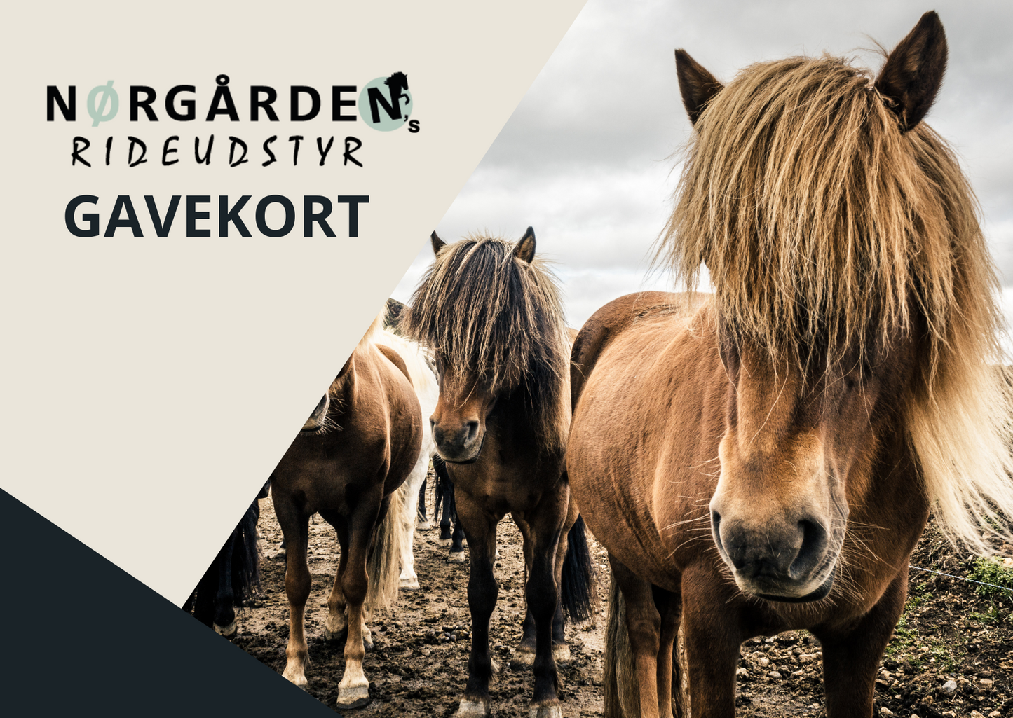 Gavekort til Nørgårdens Rideudstyr