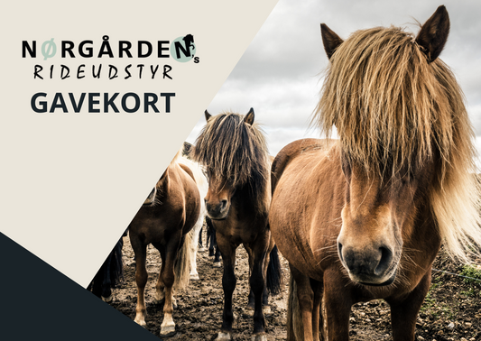 Gavekort til Nørgårdens Rideudstyr